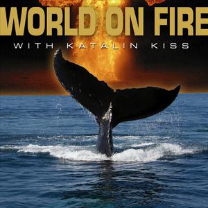 World On Fire With Katalin Kiss - Single