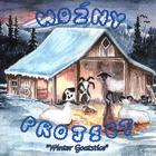 Wozny Project - Winter Goatstice