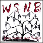 WSNB - Jomo Swamp Root Boogie