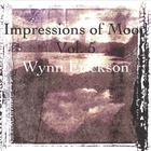 Wynn Erickson - Impressions of Mood Vol 5