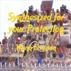 Wynn Erickson - Synthesized for your Protection