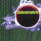 Zebramatrix
