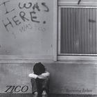 Zico - Recovering Failure