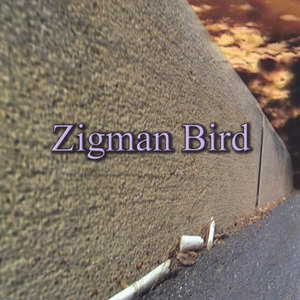 Zigman Bird