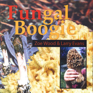 Fungal Boogie