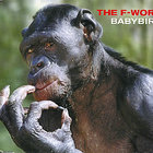 Babybird - The F Word #1 (CDS)