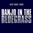 Banjo In The Bluegrass