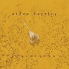 Aidan Bartley - Soulstream