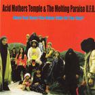 Acid Mothers Temple & The Melting Paraiso UFO - Have You Seen The Other Side Of The Sky?