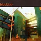 Black Lab - See The Sun