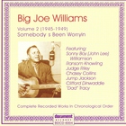 Big Joe Williams - Complete Recorded Works: Volume 2 (1945-1949)