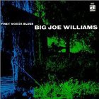 Big Joe Williams - Piney Woods Blues