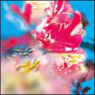 The Young Gods - Lucidogen (CDS)