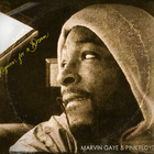 Ill Poetic - Ill Poetic Presents Marvin Gaye & Pink Floyd: Requiem For A Dream