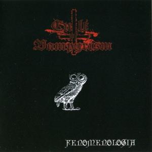 Fenomenologia
