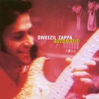 Dweezil Zappa - Automatic