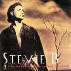 Stevie B - Waiting For Your Love