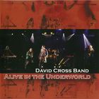 David Cross Band - Alive In The Underworld