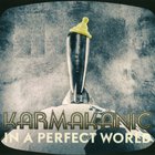 Karmakanic - In a Perfect World