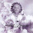 Steel Breeze - Cry Thunder