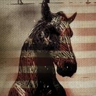 Needtobreathe - Live Horses (EP)