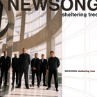 Newsong - Sheltering Tree