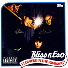 Bliss N Eso - Flowers In The Pavement
