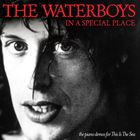 The Waterboys - In A Special Place