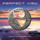 Perfect View - Hold Your Dreams