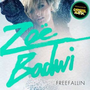 Freefallin (CDM)