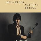 Bela Fleck - Natural Bridge