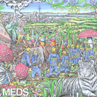 Mt. Eden - Meds (EP)