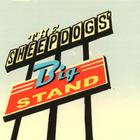 the Sheepdogs - Big Stand