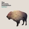 The Phoenix Foundation - Buffalo