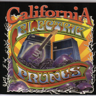 The Electric Prunes - California