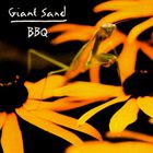 Giant Sand - Backyard Barbecue Broadcast