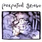 Perpetual Groove - Perpetual Groove