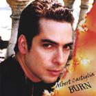 Albert Castiglia - Burn