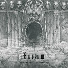 Burzum - From the Depths of Darkness