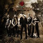 Red Rose - Live the Life You've Imagine