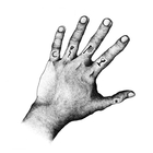 Circle Of Ouroborus - Eleven Fingers