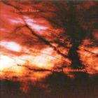 Colour Haze - Ewige Blumenkraft