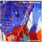 Dave Bainbridge - Veil Of Gossamer