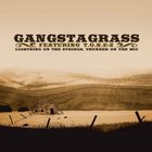 Gangstagrass - Lightning On The Strings, Thunder On The Mic