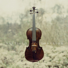 Saltillo - Ganglion (Reissue)