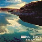 Asturias - Bird Eyes View
