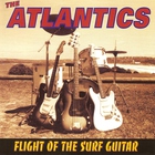 Flight of the Surf Guitar