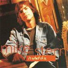 Mike Stern - Is What It Is