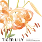Kenmochi Hidefumi - Tiger Lily