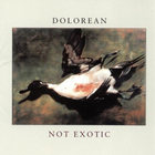 Dolorean - Not Exotic